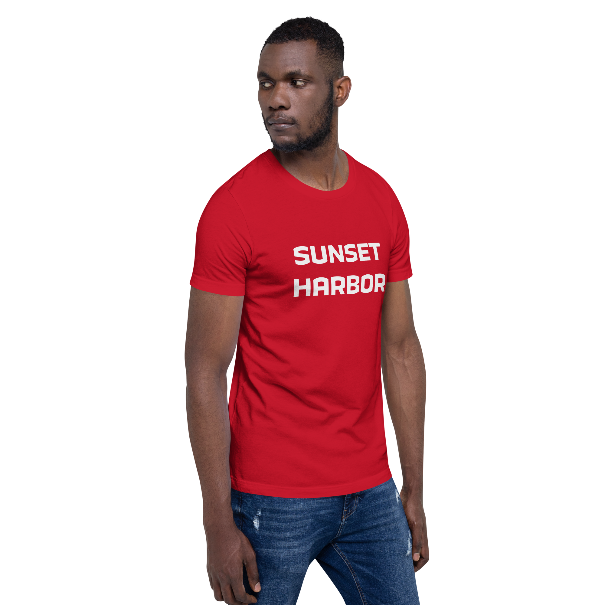 Mens t-shirt - Harbor Edge