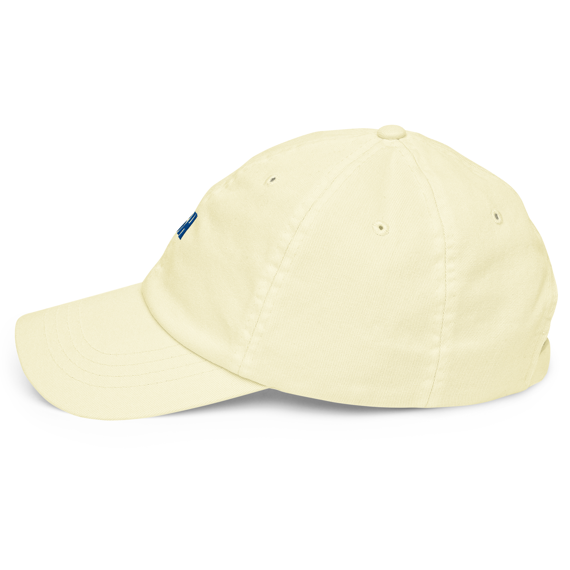 Pastel baseball hat