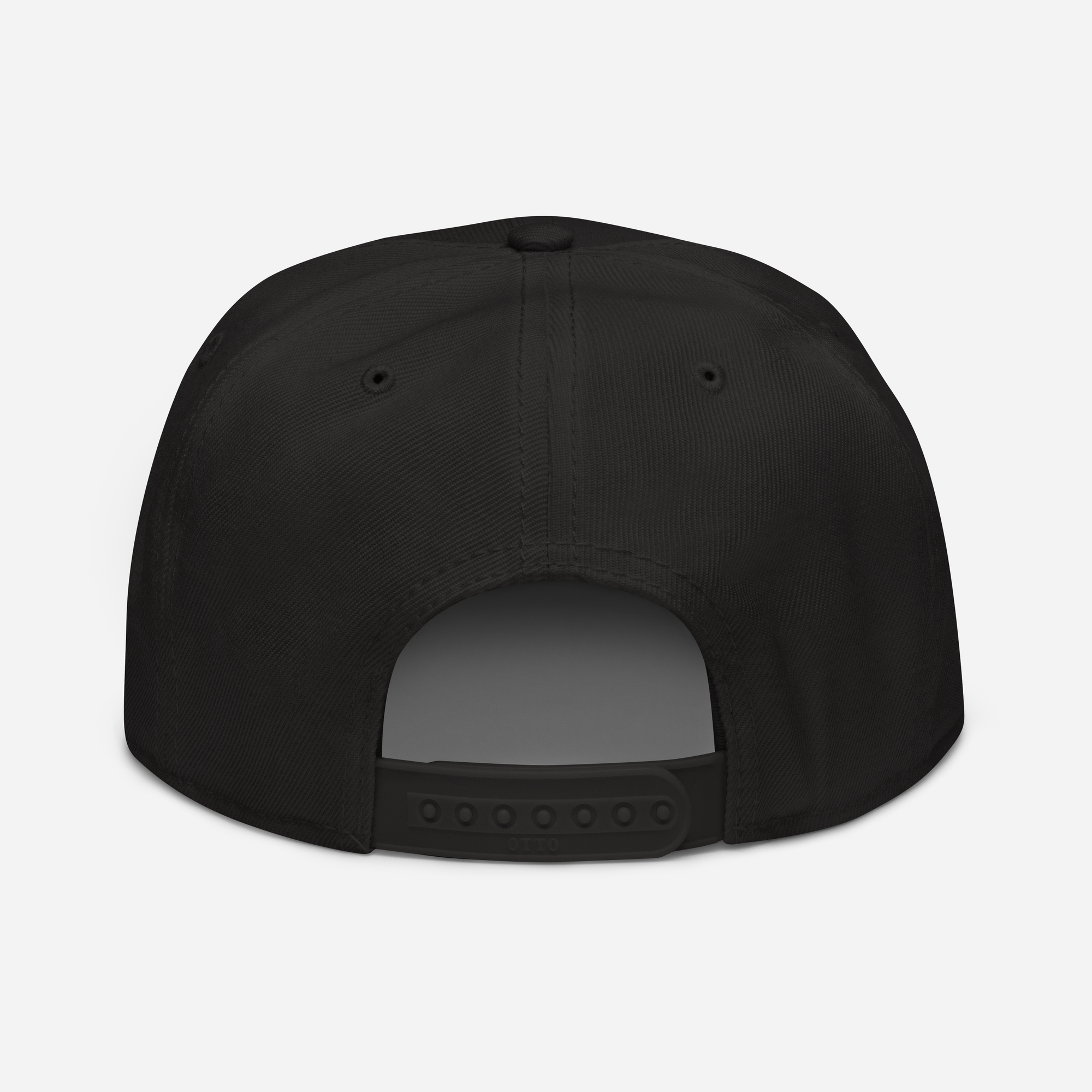 Snapback Hat 2