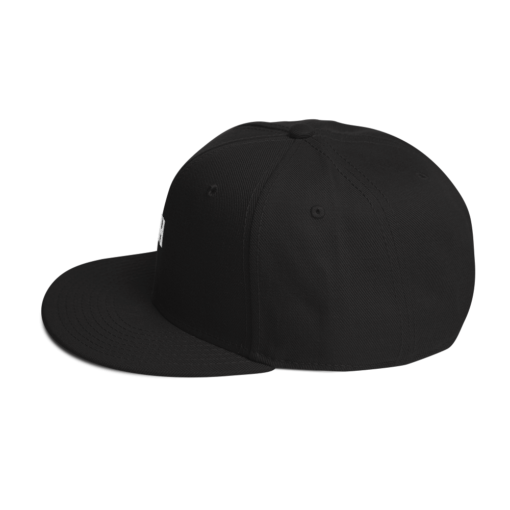 Snapback Hat 2