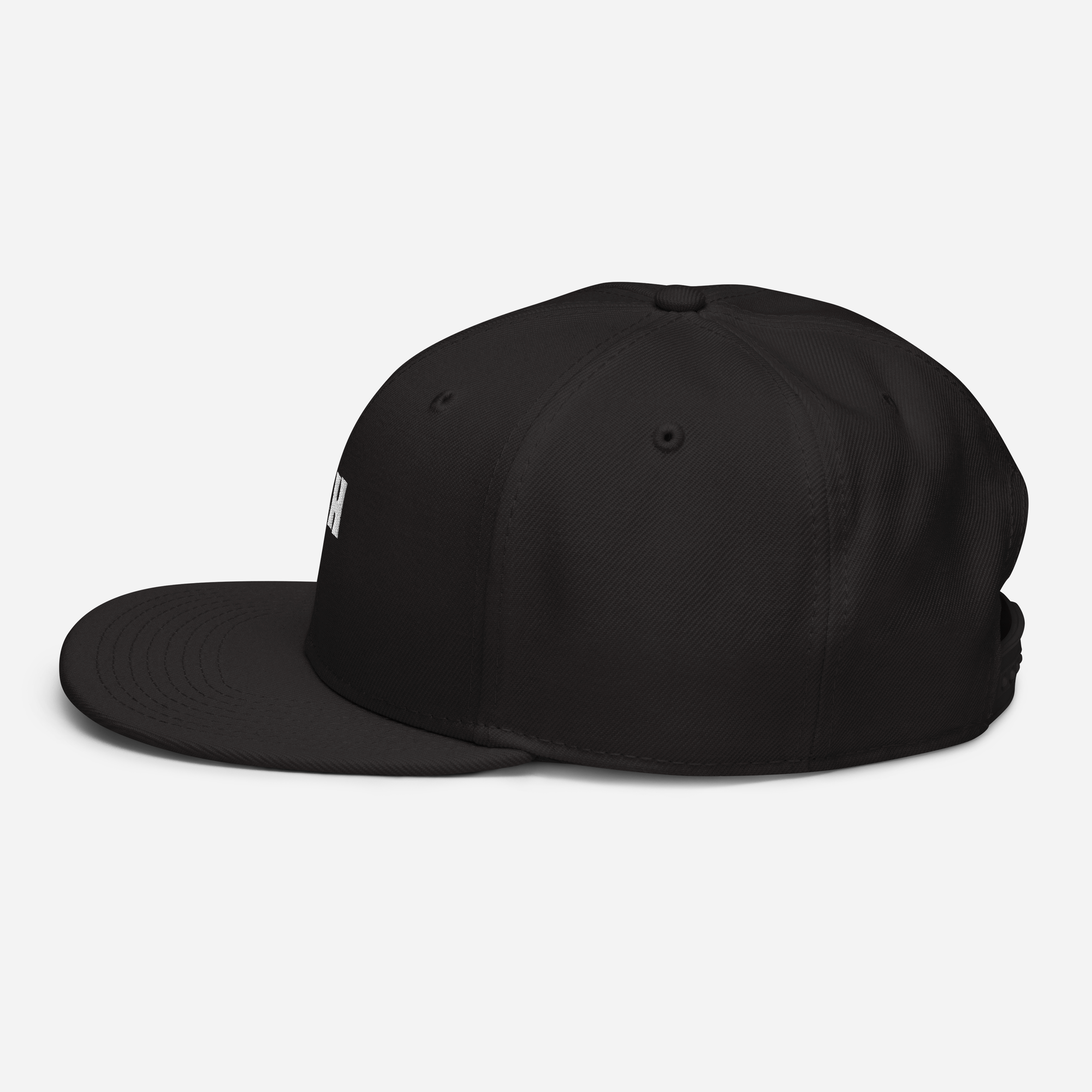 Snapback Hat 2