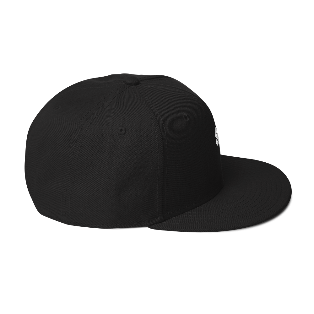 Snapback Hat 2