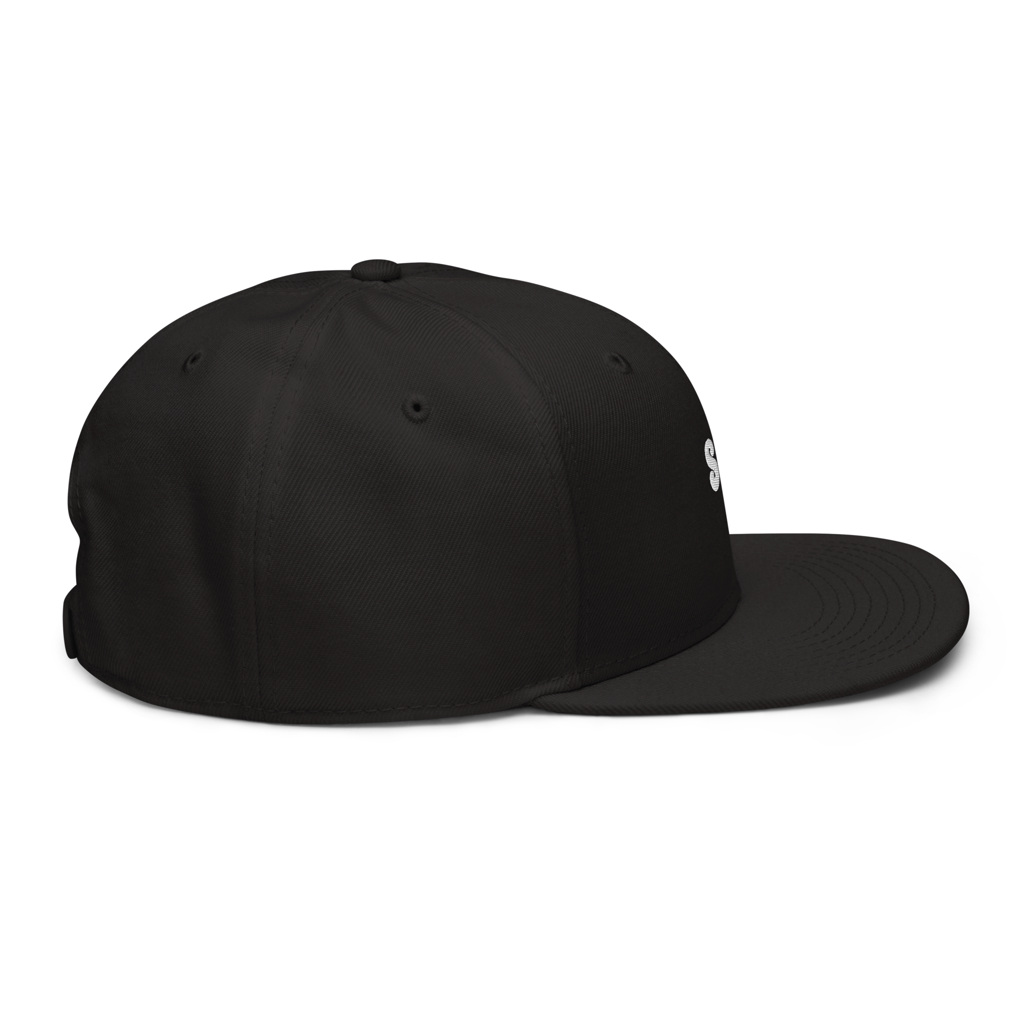 Snapback Hat 2