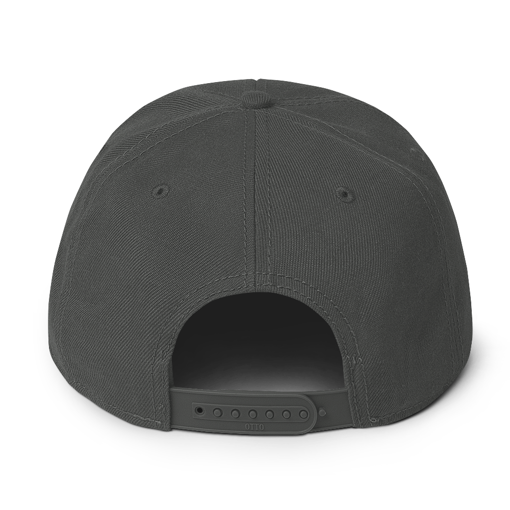 Snapback Hat 2