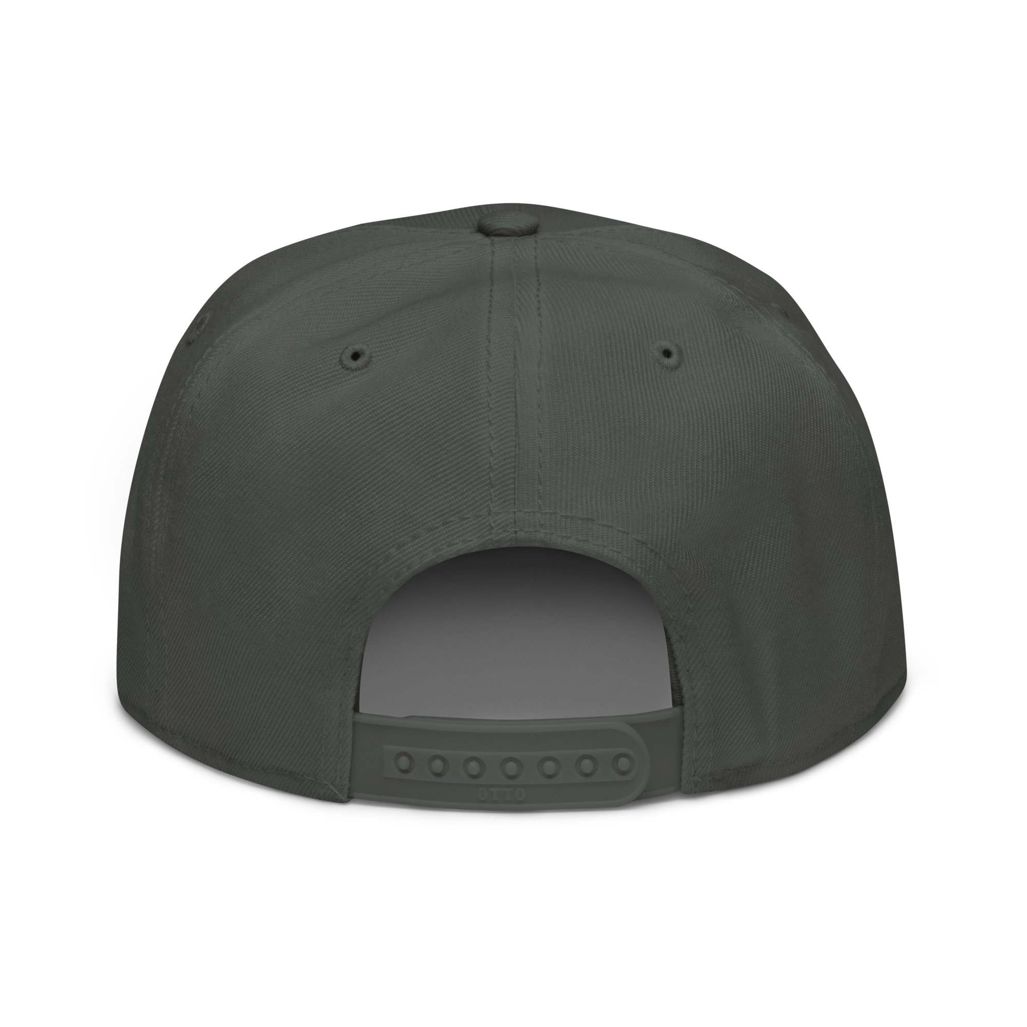 Snapback Hat 2