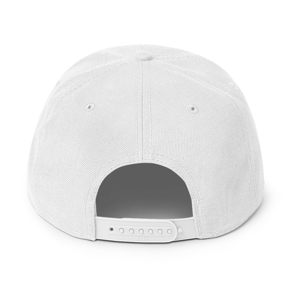 Snapback Hat 2