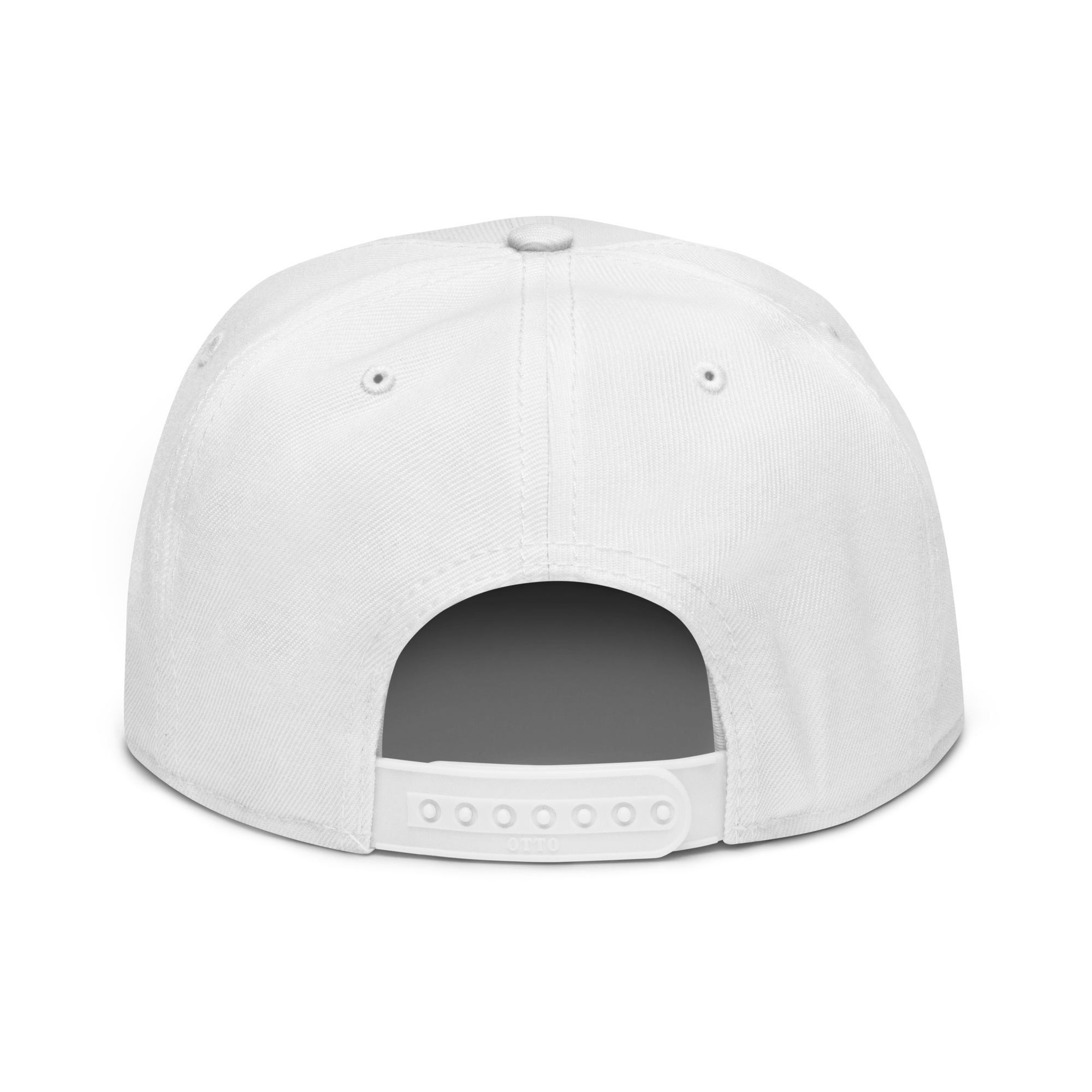 Snapback Hat 2