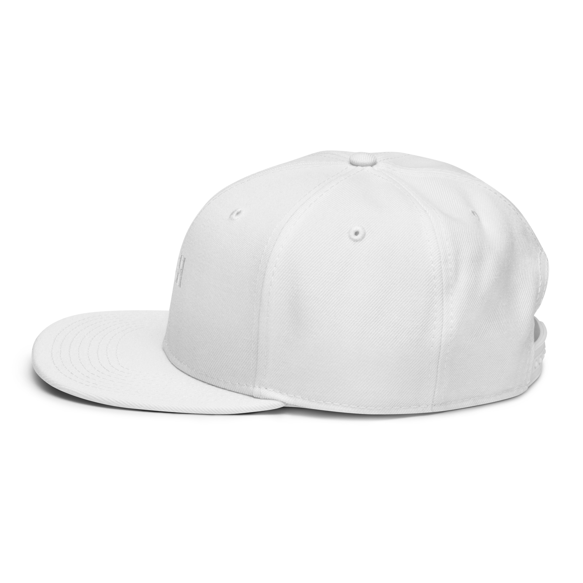 Snapback Hat 2