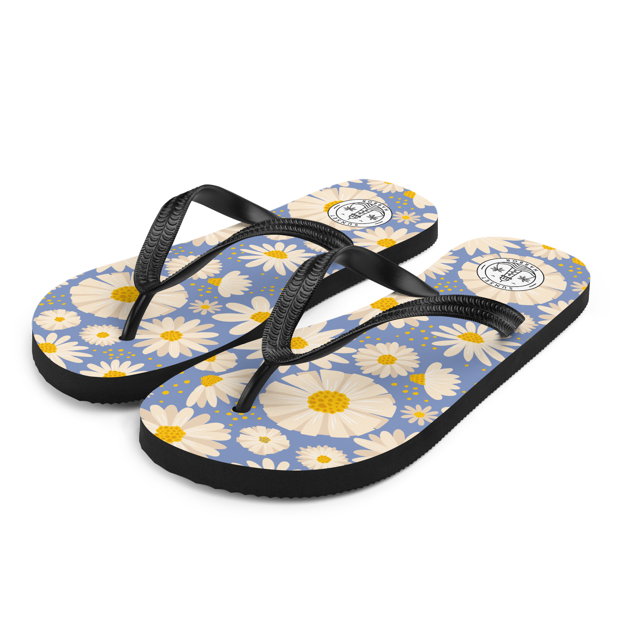 Flip Flops