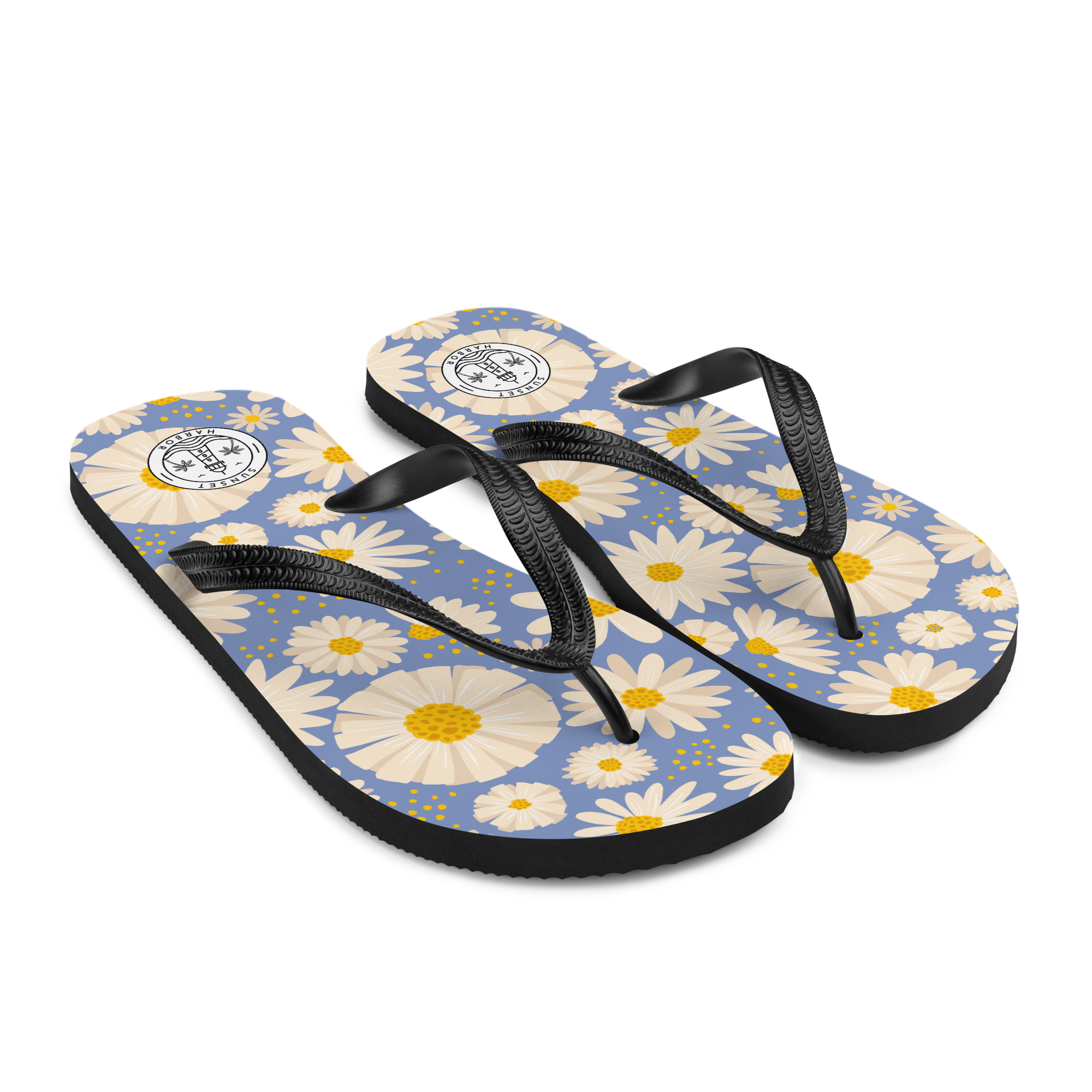 Flip Flops