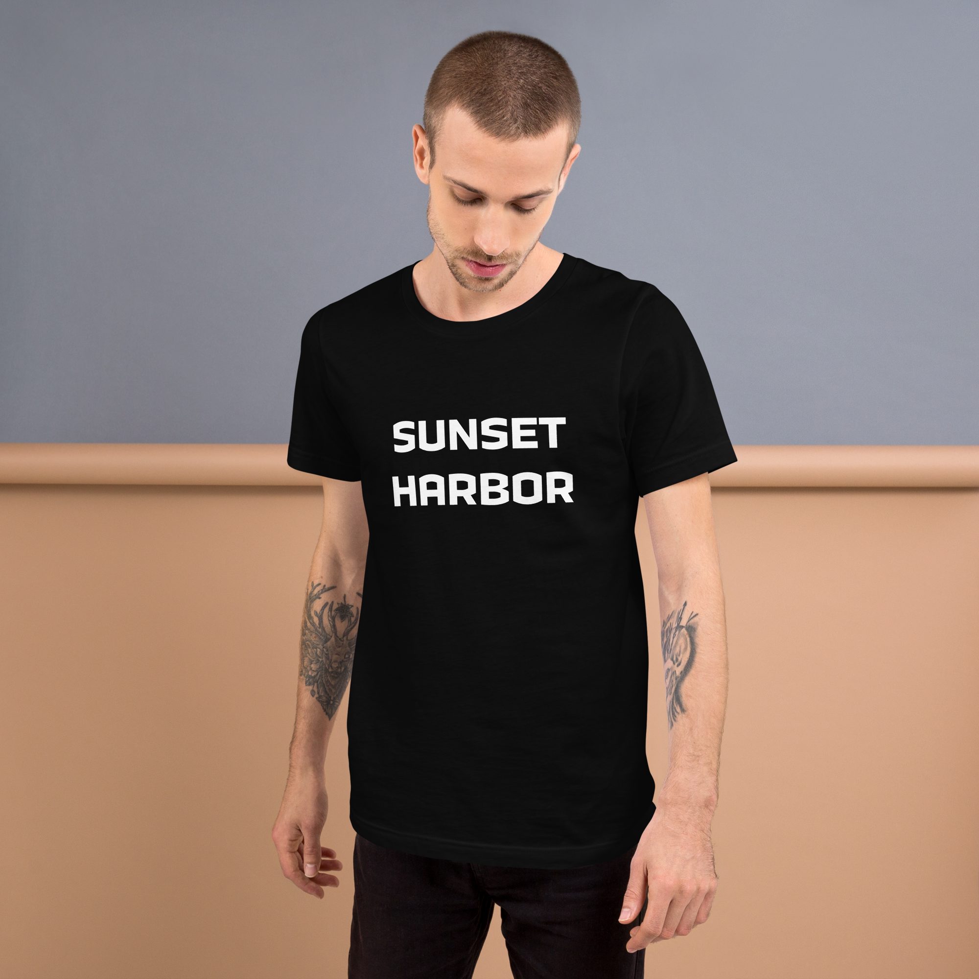 Mens t-shirt - Harbor Edge