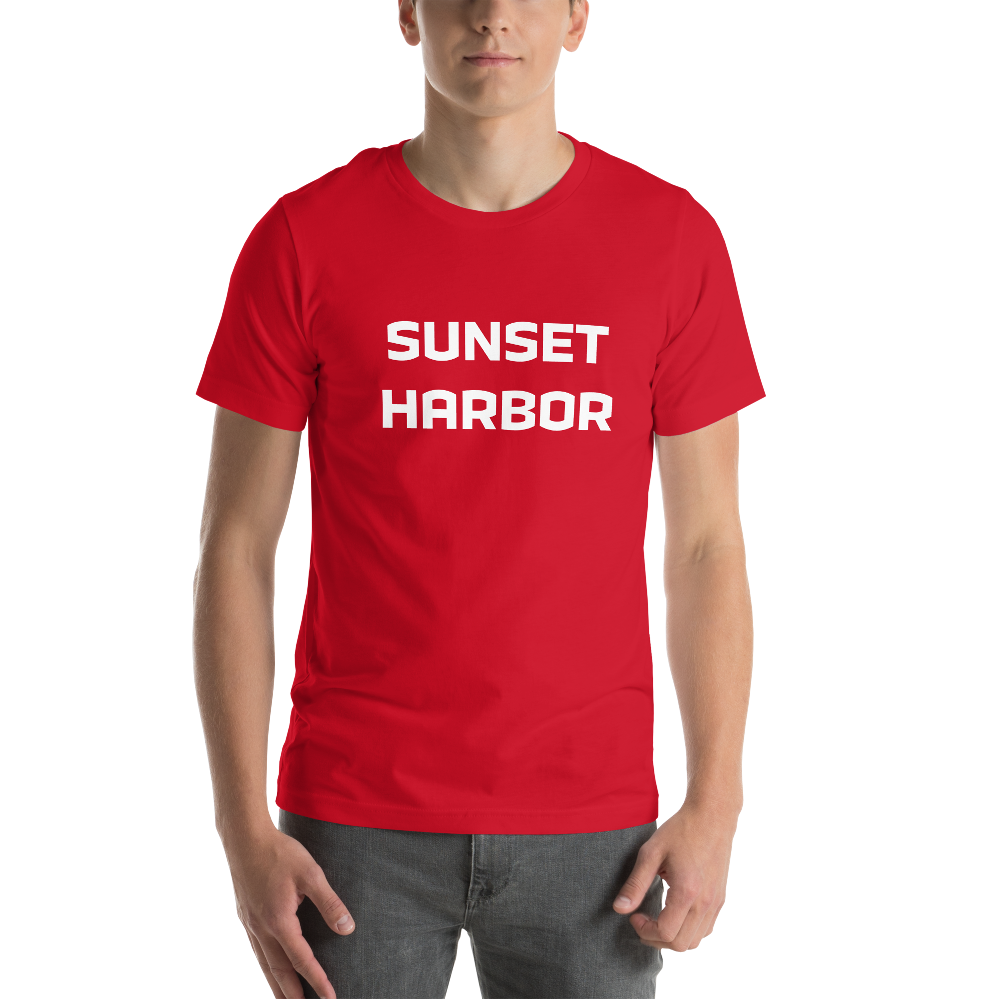 Mens t-shirt - Harbor Edge