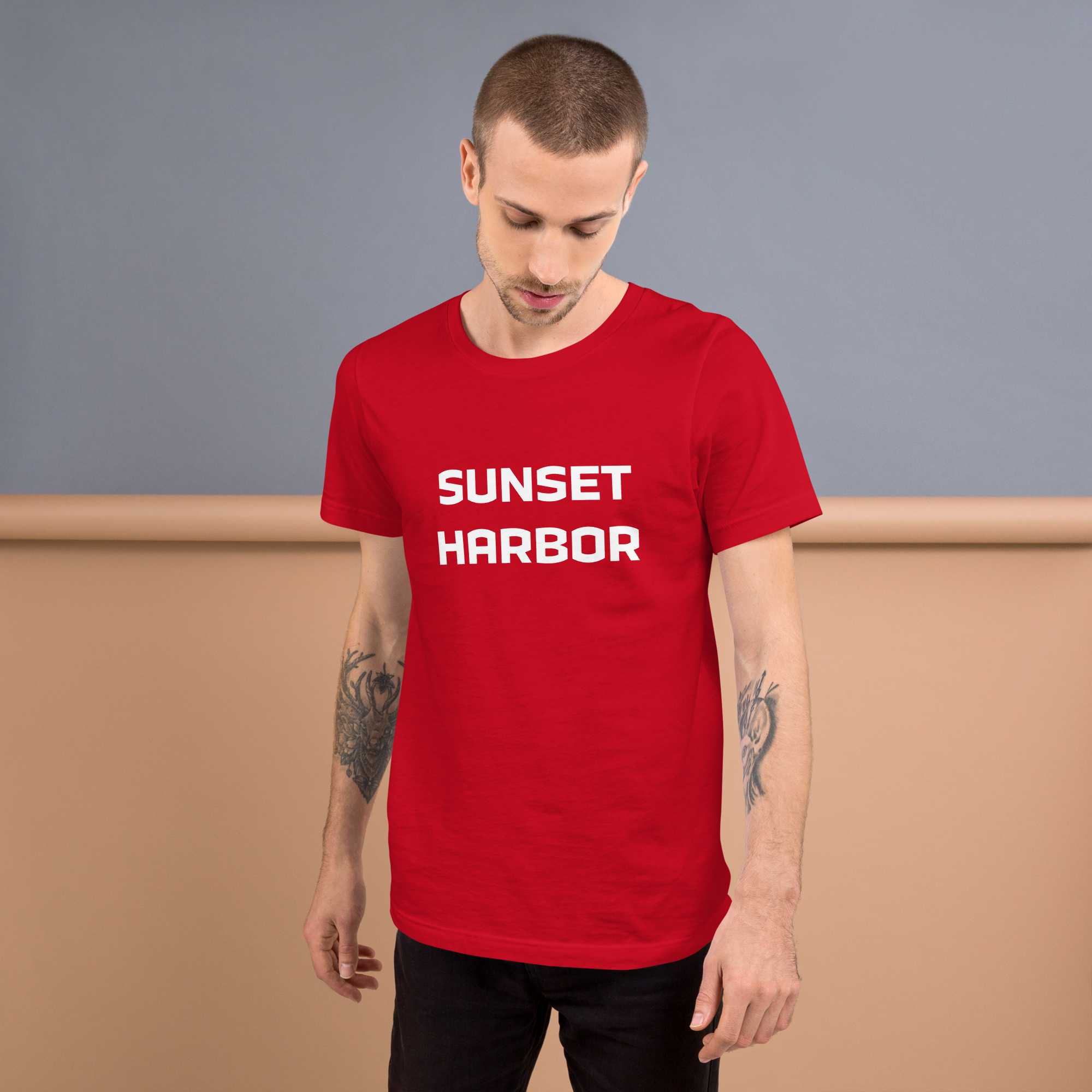 Mens t-shirt - Harbor Edge