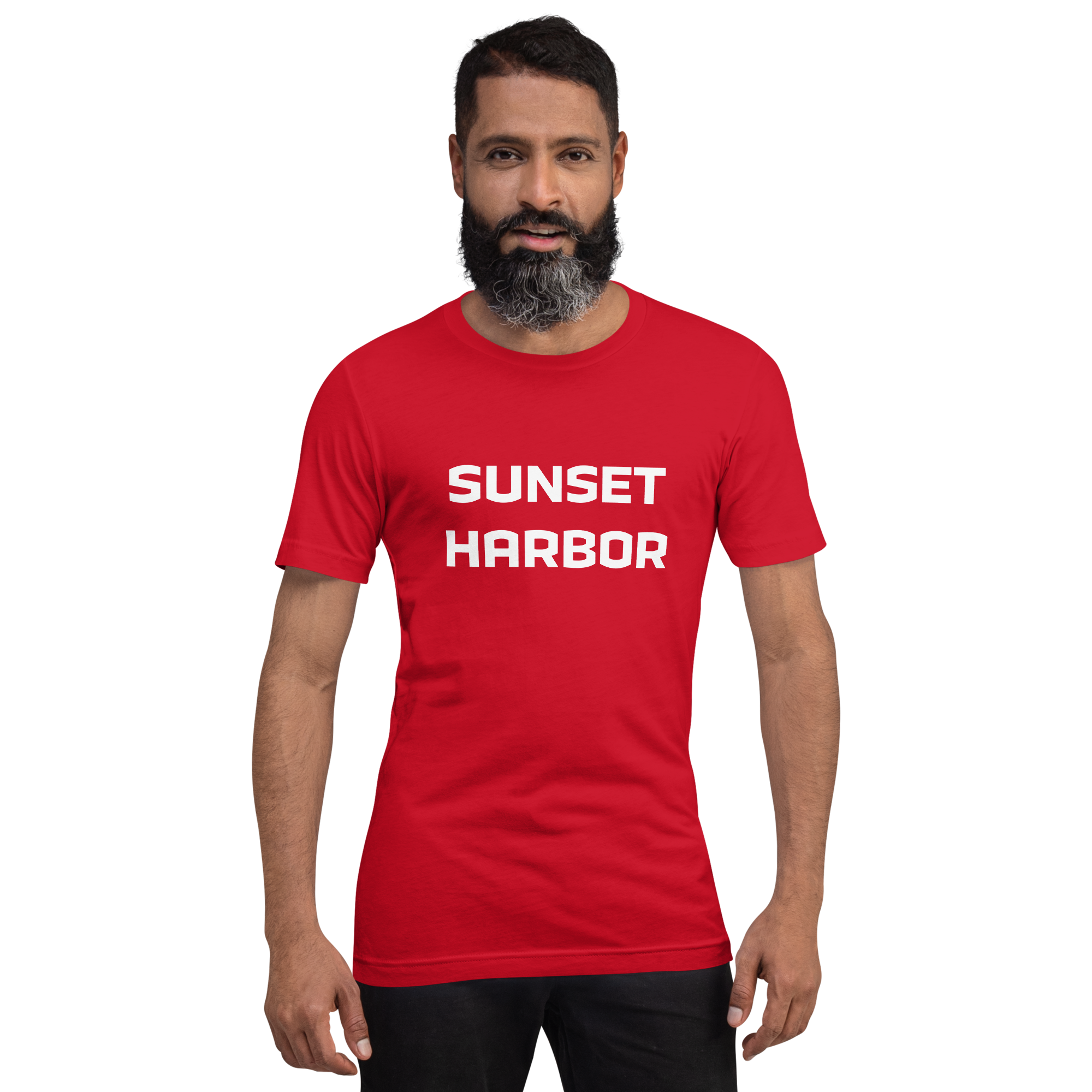 Mens t-shirt - Harbor Edge