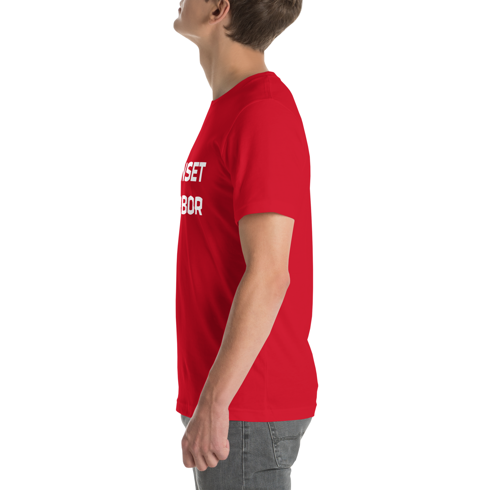 Mens t-shirt - Harbor Edge