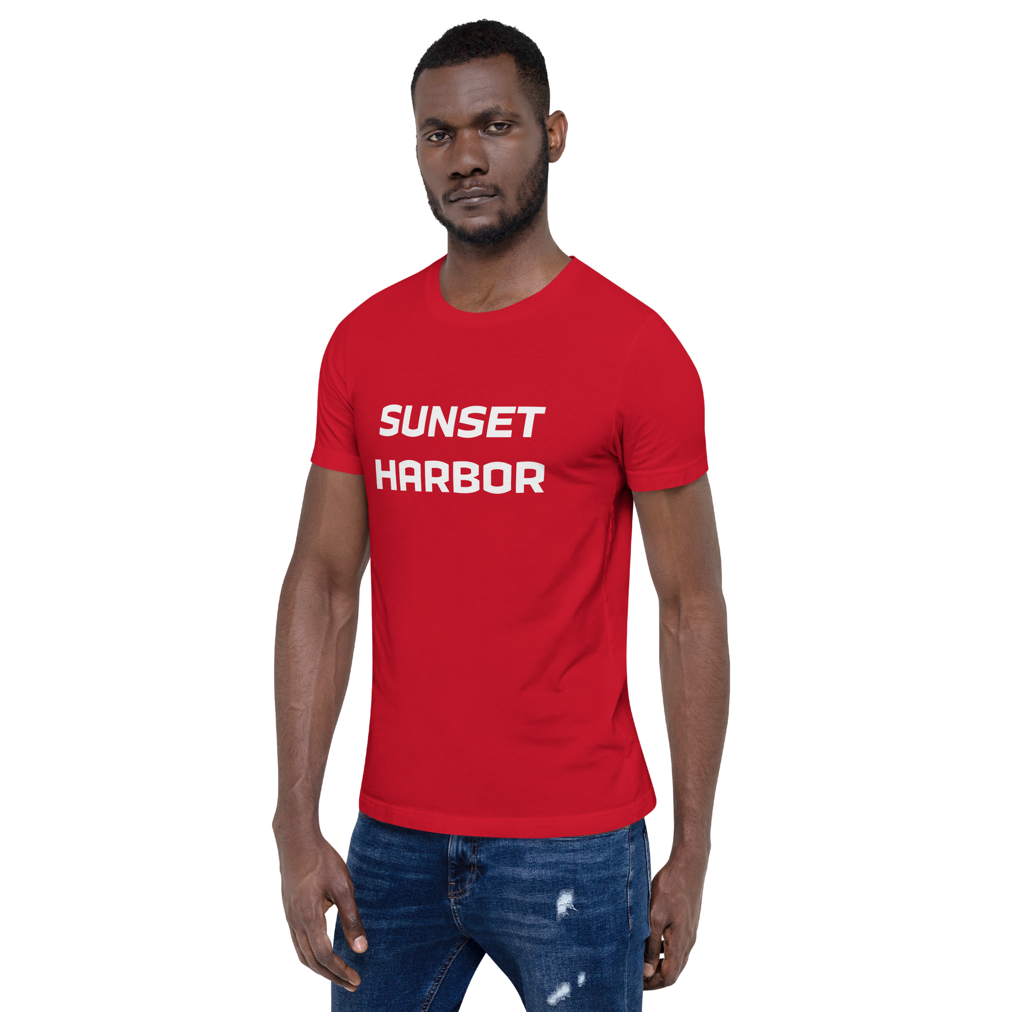 Mens t-shirt - Harbor Edge