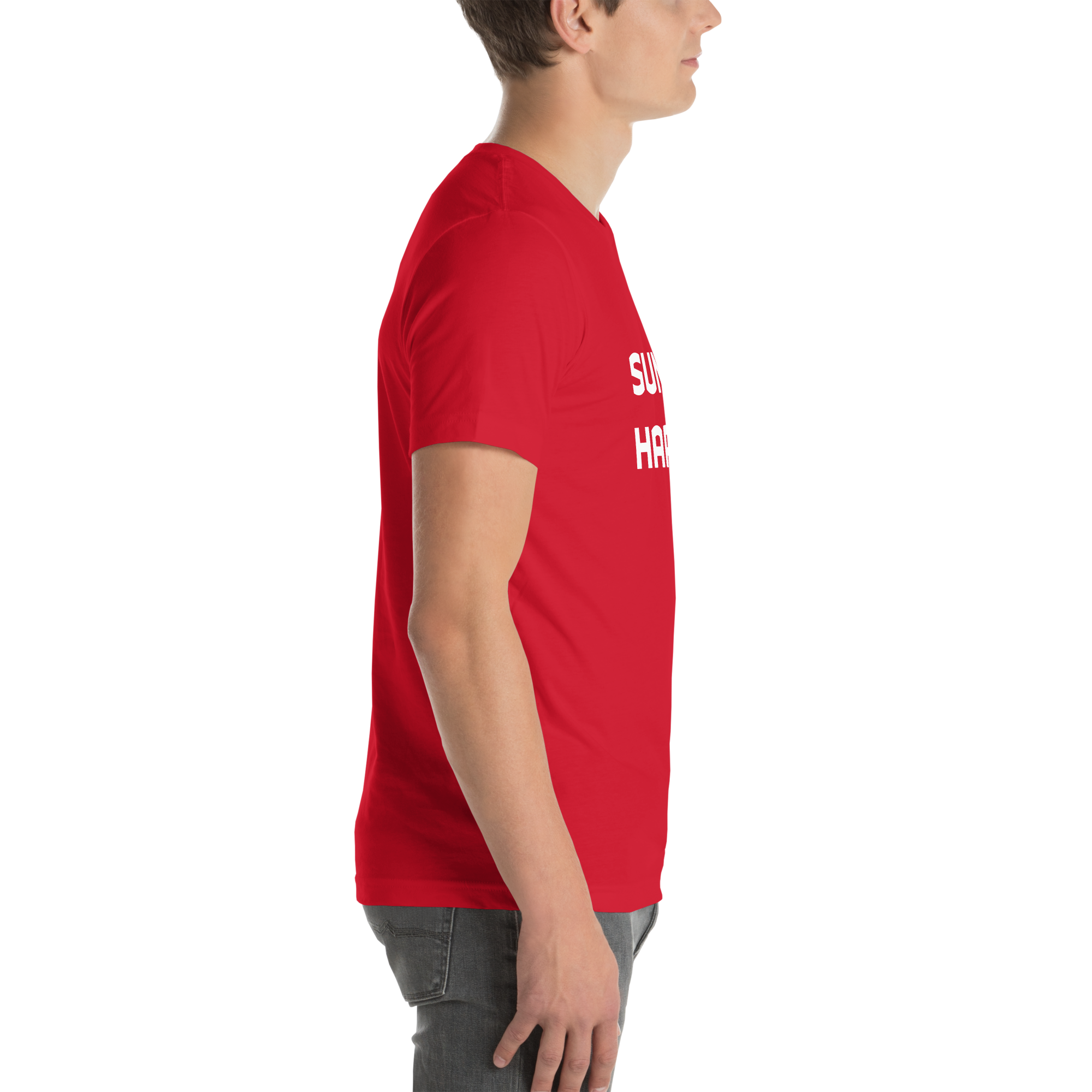 Mens t-shirt - Harbor Edge