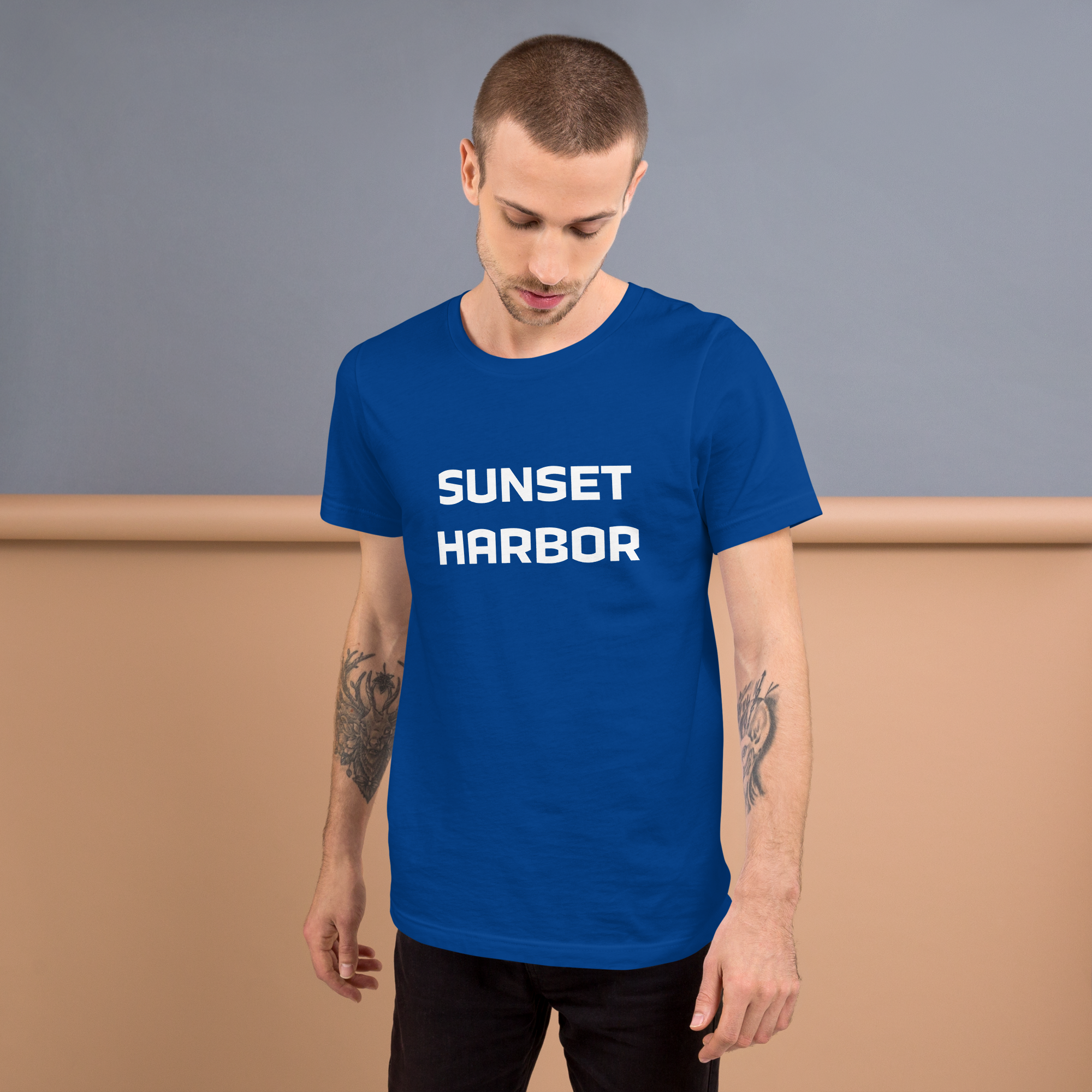 Mens t-shirt - Harbor Edge