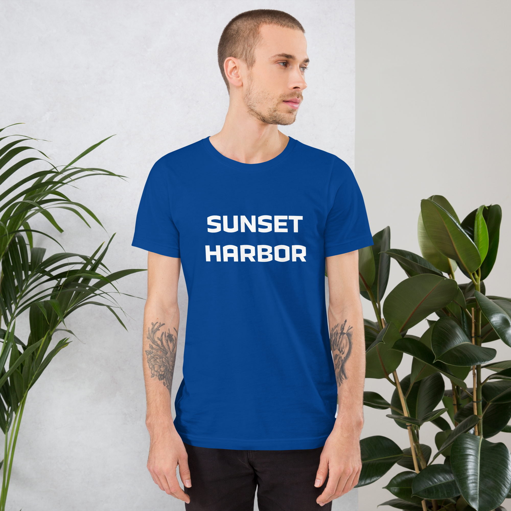 Mens t-shirt - Harbor Edge