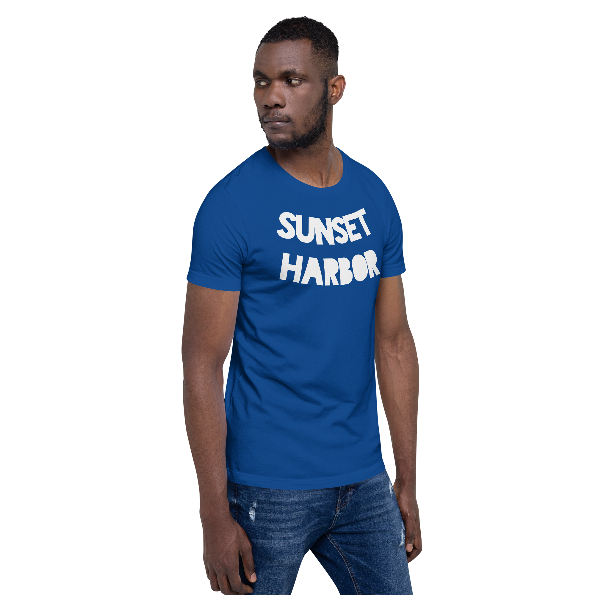 Mens t-shirt - Harbor Bold